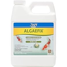 API POND ALGAEFIX Algae Control 32-Ounce Bottle, FISHAQUARI (169G)