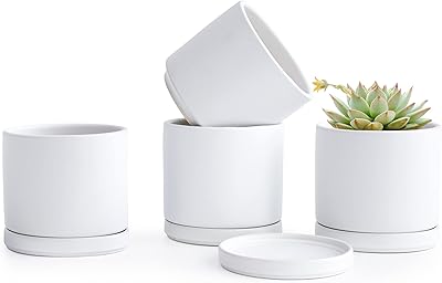D'vine Dev Set of 4 Small Ceramic Plant Pots, 4.6 Inch Succulent Planter Pot for Plants with Drainage Hole and Saucer, White, 94-F-XS-1
