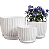 Ton Sin White Plant Pots Set of 3,Indoor Ceramic Flower Pot with Saucers,6.7"&5.5"&3.9" Inch Small to Medium Sized Planters f