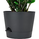 SwinDuck 12inch Large Self Watering Plant Pot, Plastic Cylinder Planter with 60Oz Deep Reservoir and Saucer for Indoor Outdoo