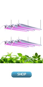 grow lights for indoor plants