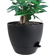 UOUZ 12 inch Large Self Watering Pots, Plastic Planters with 60oZ Removable Deep Reservoir and Multi Mesh Drainage Holes for