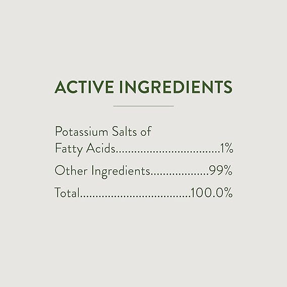 Garden Safe 32 oz. Insecticidal Soap Ready-to-Use, 1 Count (Pack of 1) - Image 3