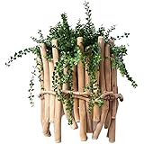 AnnualRing Solid Wood Wall Vase - Indoor Wall Decoration, Natural Style Wall Planter Living Room Dining Room Flower Arrangeme
