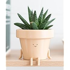 Indoor Plant Pot, Unique Cute Plastic Flower Pot with Face, 3.5 Inch Succulent/Cactus Planter, Plant Lover Gift, Decorative N