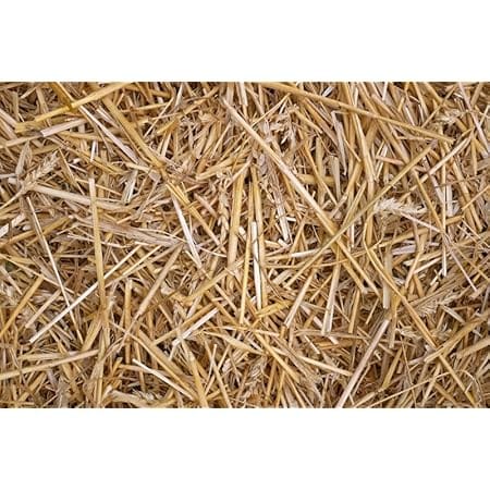 100% Natural Wheat Straw for Animal Bedding, Garden Mulch, Compost & Fertilizer, and Grass Cover (2 Pounds)