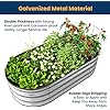 ENJOYBASICS Raised Garden Bed Kit, Galvanized Raised Planter 4x2x1ft Box Outdoor for Vegetables, Large Bottomless Metal Raised Bed for Gardening, Herb, Growing Fruits, Flower - Image 3
