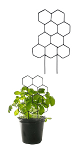 Honeycomb Shaped Plants Trellis