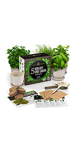 indoor-herb-garden-kit