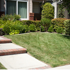 Great for Small Areas