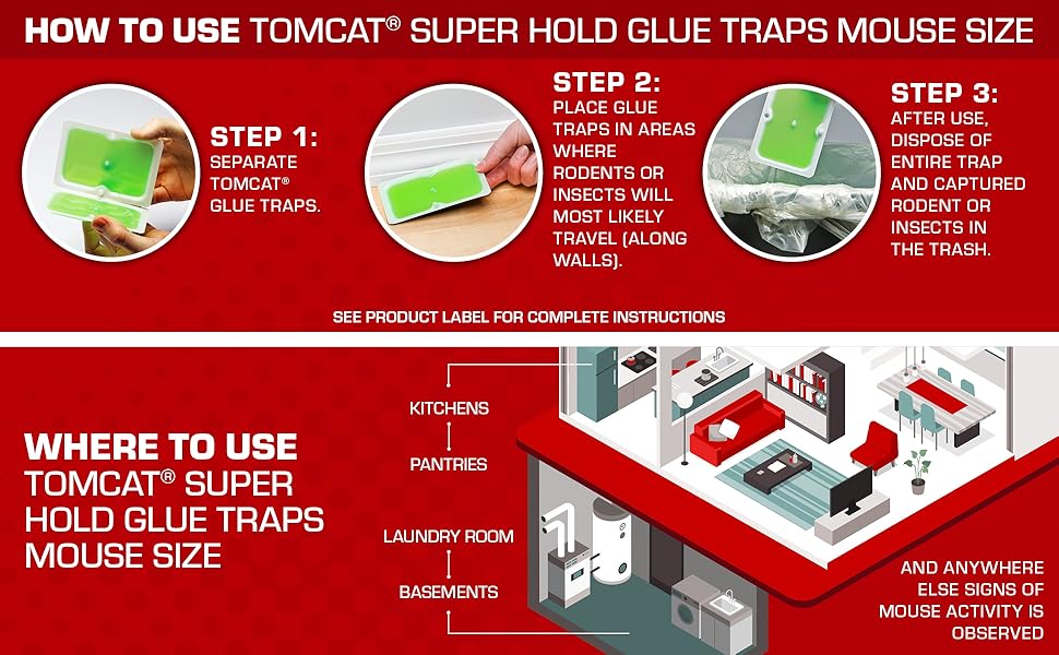 How to Use Tomcat Super Hold Glue Traps Mouse Size
