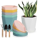 ISIVBPEP Plant Pots - 5 Inch Planters for Indoor Plants - 6 Pack Flower Pots - Colorful Plastic Plant Pot - Plant Pots with D