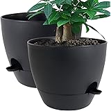 UOUZ 12inch 2Pack Large Self Watering Planters, Plastic Plant Pots with 60oZ Removable Deep Reservoir and Multi Mesh Drainage