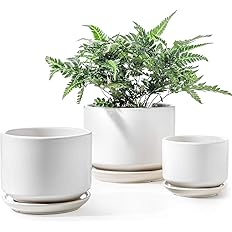 LE TAUCI Ceramic Plant Pots, 4.3+5.3+6.8 inch, Set of 3, Planters with Drainage Hole and Saucer, Indoor Flower Pot with Hole