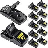 Dvcindy Mouse Traps Indoor for Home Small Mouse Trap for House Mice Snap Trap Effective Sanitary Quick Mouse Catcher - 12 Pac