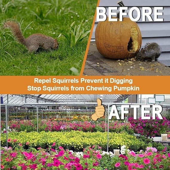 ANEWNICE Squirrel Repellent Outdoor, Mouse Rodent Repellent for Car Engines 8P, Natural Squirrel Repellent for Bird Feeders/Garden/Attic,Ultra Powerful Chipmunk Repellent,Keep Squirrel Away for Plants - Image 3