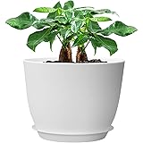 UOUZ 12inch Large Plant Pot, Modern Plastic Planter with High Driange Holes and Saucer for Indoor Outdoor Garden Plants and F
