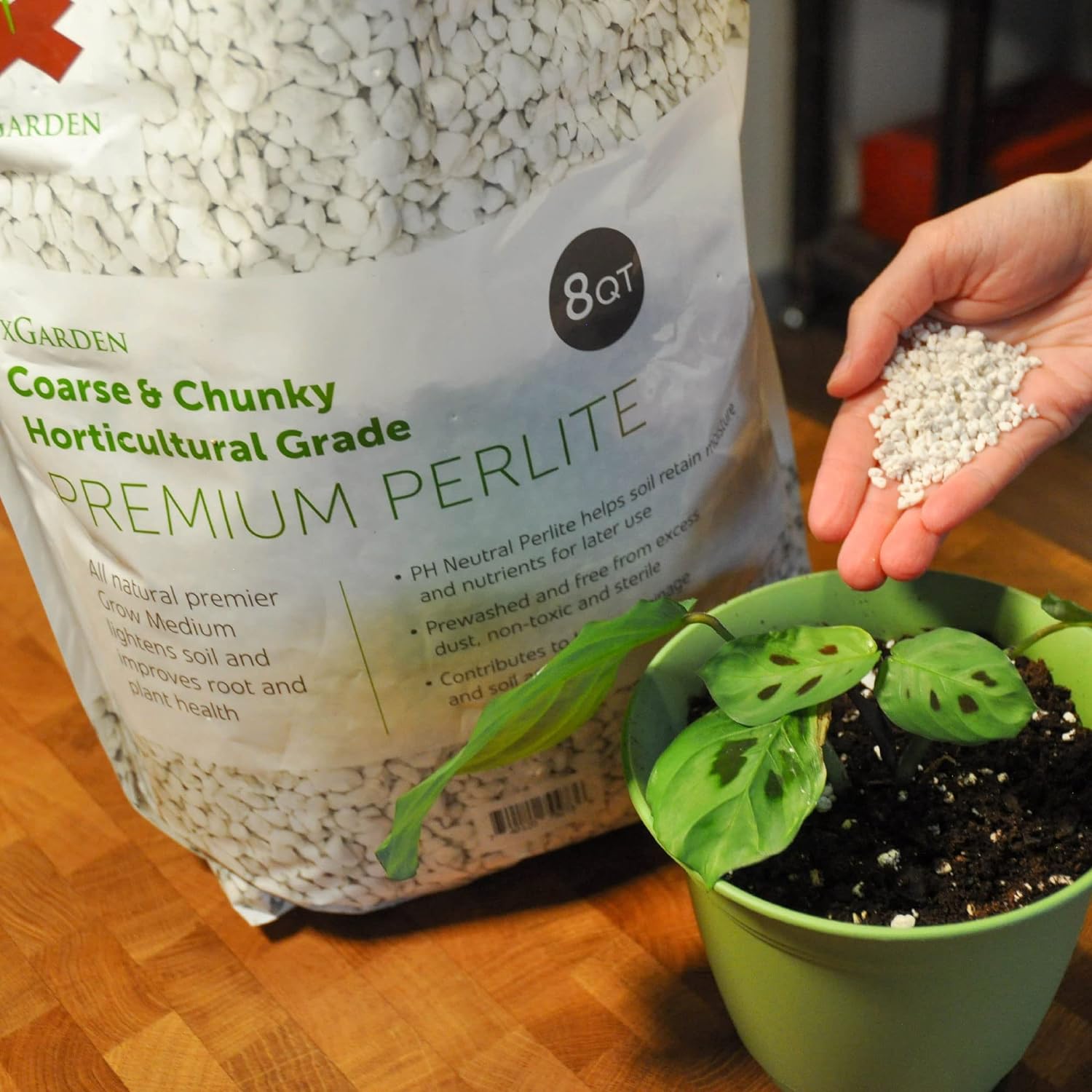 xGarden 8 Quarts Horticultural Grade Premium Perlite - Coarse and Chunky - Image 3