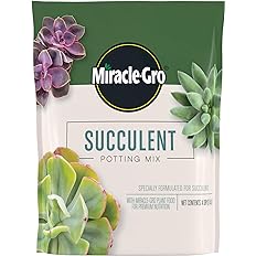 Miracle-Gro Succulent Potting Mix: Fertilized Soil with Premium Nutrition for Indoor Cactus Plants, Aloe Vera and More, 4 qt.