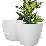 WOUSIWER 10 inch Self Watering Planters, 2 Pack Large Plastic Plant Pots with Deep Reservior and High Drainage Holes for Indo