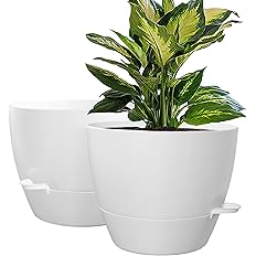 WOUSIWER 10 inch Self Watering Planters, 2 Pack Large Plastic Plant Pots with Deep Reservior and High Drainage Holes for Indo