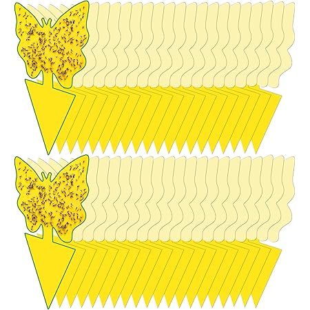 40 Pack Fungus Gnat Traps for House Indoor Yellow Sticky Traps for Gnats Sticky Traps for Plants, Dual-Sided Fungus Gnat Sticky Traps Fruit Fly Traps for Indoors
