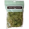 Quality Growers QG2060 Preserved Reindeer Moss, 108.5 Cubic Inch, Spring Green