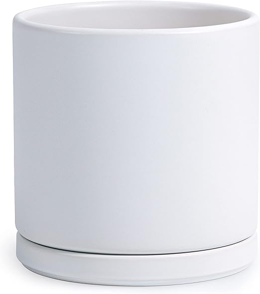 D'vine Dev 10 Inch Ceramic Planter Pot with Drainage Hole and Saucer, Indoor Cylinder Round Planter Pot, White, 94-O-L-1