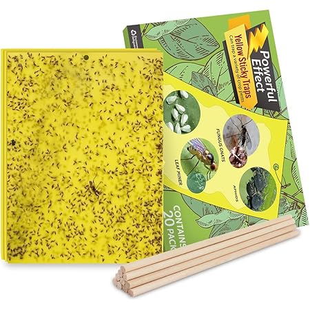 Kensizer 20-Pack Fruit Fly Trap, Yellow Sticky Gnat Traps Killer for Indoor/Outdoor Flying Plant Insect Like Fungus Gnats, Whiteflies, Aphids, Leaf Miners - 6x8 in, Twist Ties Included