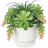 Succulents Plant Artificial for Home Decor, 6.2" Potted Fake Succulents, Faux Succulent Planters In Ceramic Pots, Modern Arti