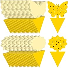 Landisun Fruit Fly Sticky Traps 48PCS Fungus Gnat Traps Bug Traps Gnat Killer for Indoor Outdoor House Kitchen Plants Whitefl