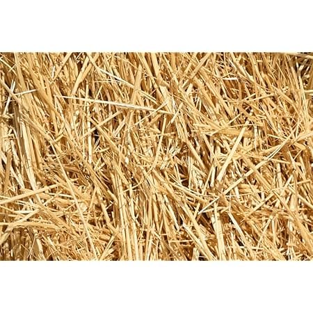4 Pounds Natural Wheat Straw for Animal Bedding, Garden Mulch, Compost & Fertilizer, and Grass Cover