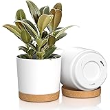 FIASON 8 inch Plant Pots, Plastic Planter with Drainage Hole and Saucer, A Set of 2 Flower Pots for Indoor, Outdoor, House Pl