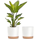 kubvici Plant Pots for Indoor Plants, 2 Pack 12 Inch Pots for Plants, Lightweight Large White Planters for Indoor Plants Outd