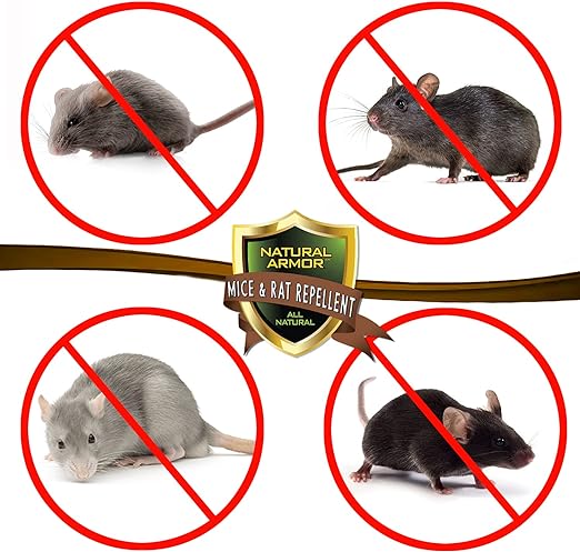 Mice & Rat Repellent. Peppermint Repellent for Mice/Mouse, Rats & Rodents. Natural Spray for Indoor & Outdoor Use. 128 OZ Gallon Trigger Sprayer Ready to Use - Image 2
