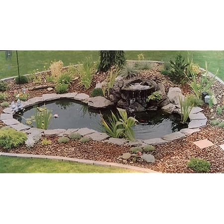 Smiley Scapes Water Garden FOUTAIN KOI Pond KIT Liner & Pump 9' X 6' Liner & 5 Water Lilies
