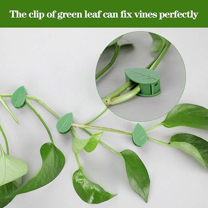 60 Pieces Plant Climbing Wall Fixture Clips with 72 Pieces Acrylic Adhesive Sticker Plant Fixer Invisible Wall Vines Fixing Clips Self-Adhesive Hook Plant Vine Traction for Indoor Outdoor Decoration - Image 3