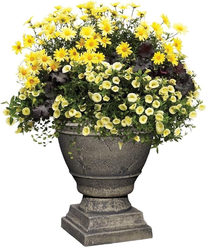 Classic Home and Garden Spartan Urn, Ivory Ash, 14.75" Height X 12" Diameter, Medium - Image 3