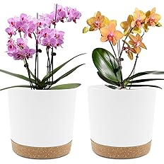 QCQHDU Plant Pots Set of 2 Pack 8 inch,Planters for Indoor Plants with Drainage Holes and Removable Base,Saucer Modern Decora