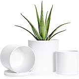 D'vine Dev 4 Inch 5 Inch 6 Inch, Set of 3 Plastic Planter Pots for Plants with Drainage Hole and Seamless Saucers, White Colo