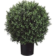 Set of 2 - Pre-Potted 24" High Ball Shaped Boxwood Topiary- 16" Diameter - Plastic Pot