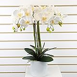 SN Decor Artificial Flower Bonsai with Ceramic Vase - Vivid Orchid Flowers Arrangement Phalaenopsis Pot for Home Office Décor