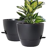 WOUSIWER 10 inch Self Watering Planters, 2 Pack Large Plastic Plant Pots with Deep Reservior and High Drainage Holes for Indo