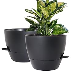 WOUSIWER 10 inch Self Watering Planters, 2 Pack Large Plastic Plant Pots with Deep Reservior and High Drainage Holes for Indo
