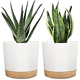 DEMACIYA 8 Inch Plant Pots, 2Pack Planters for Indoor Plants with Drainage Holes and Removable Base, Saucer Modern Decorative