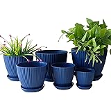 RooTrimmer 7.5/6.5/5.5/4.9/4.2/3.5 inches Plant Planters 6 Pack, Thick Sturdy Plastic Pots for Plants, Indoor/Outdoor 6 Sizes