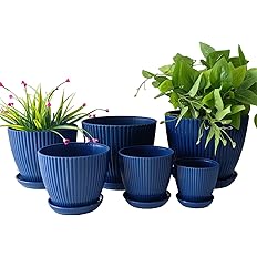 RooTrimmer 7.5/6.5/5.5/4.9/4.2/3.5 inches Plant Planters 6 Pack, Thick Sturdy Plastic Pots for Plants, Indoor/Outdoor 6 Sizes