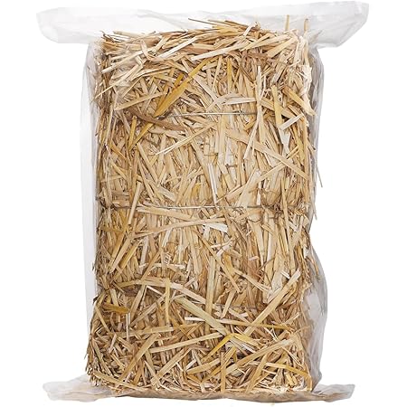 Natural Wheat Straw - 1 LB Dry Straw, Clean and Soft Decorative Straw Bale for Stray Cats Dogs Yard Farm Pets Garden Mulch Grass Cover