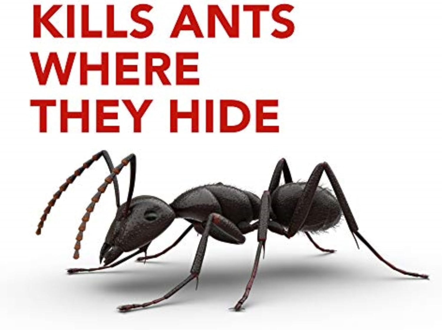 Raid Ant Killer Baits, Child Resistant Bug Killer for Indoor Home Use, 0.24 Oz, 8 Count - Image 3