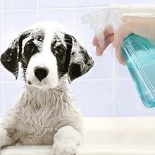 spray bottle for pet